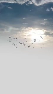 Мы помним. Мы всегда будем помнить. С Дн…