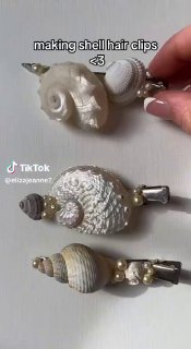 Последний вопрос, где взять ракушки?…