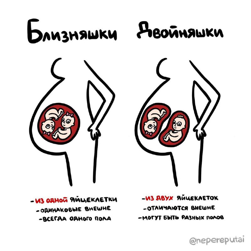 Не перепутай! — канал с забавными подск…