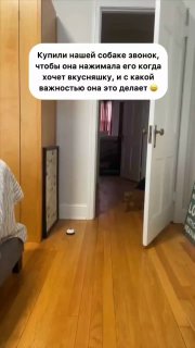 Это я жду поступления на карту, чтоб опл…