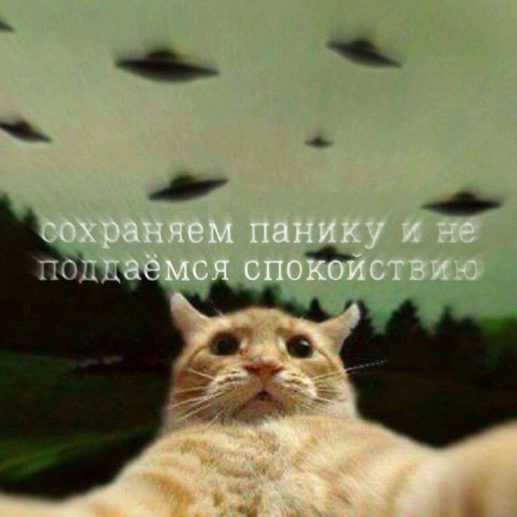 Наше любимое: с понедельником!…