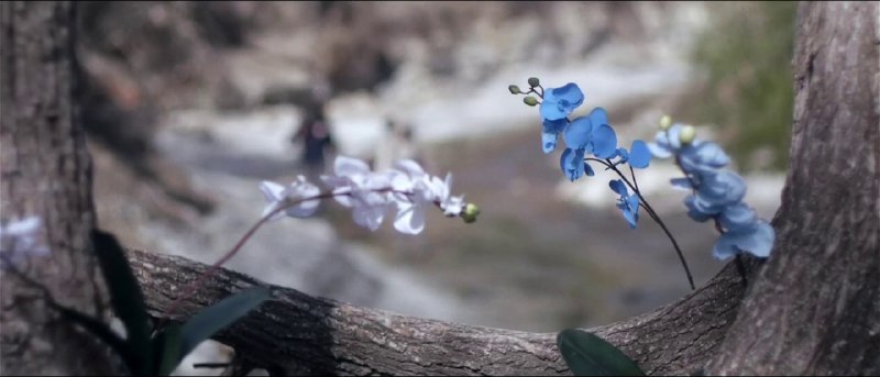 «Примесь» / «Upstream Color», 2013Режисс…