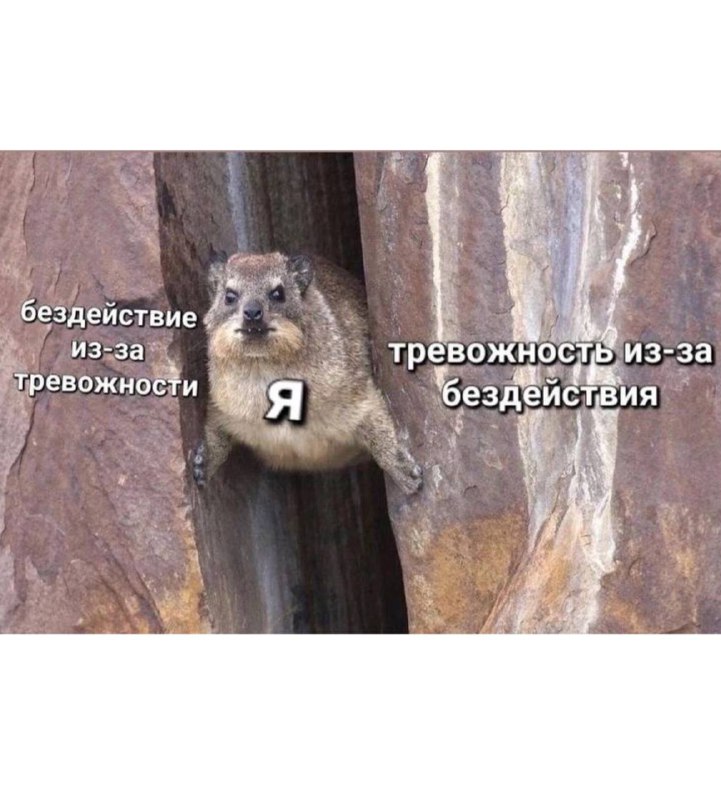 Меж двух огней…