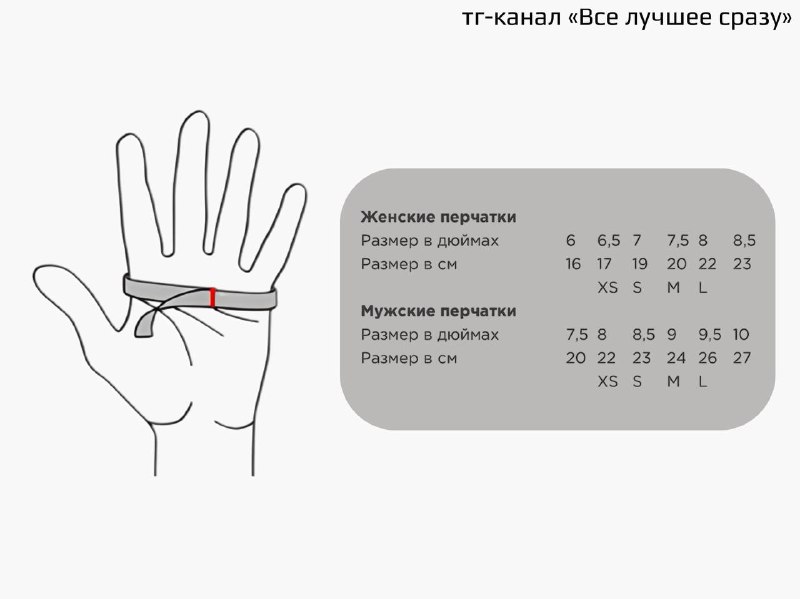 Бонусная памятка: как определить свой ра…