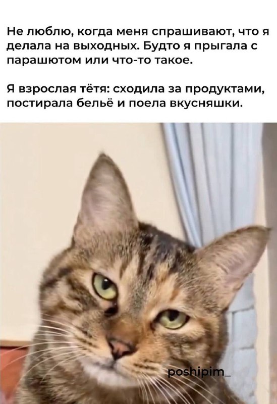 Действительно …