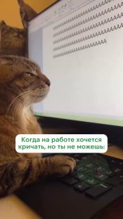 АААААААААААААААА…
