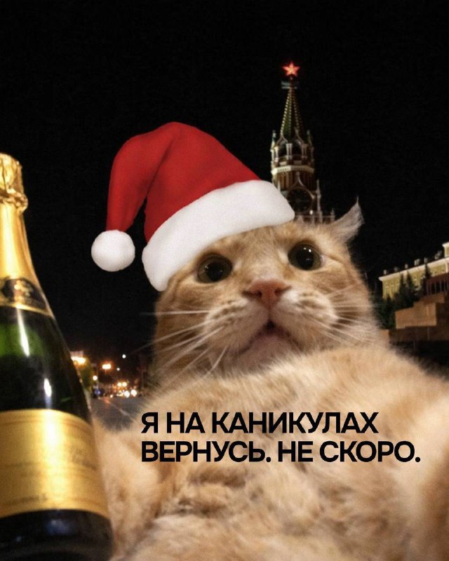 Смену аватарок во всех мессенджерах объявляю открытой! Сохраняйте, буквально чер…