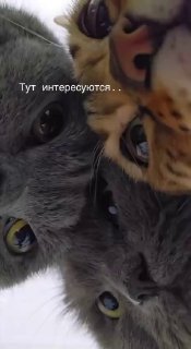 Когда уже?…