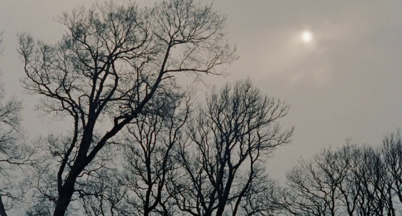 «История монахини» / «The Nun’s Story», …