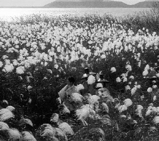 «Управляющий Сансё» / «Sansho dayu», 195…