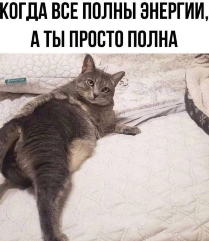 Доброе понедельничное…