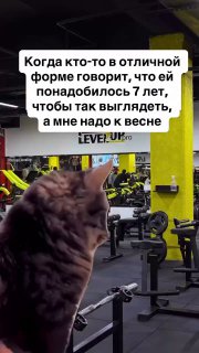 Мне к выходным надо…
