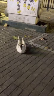 До весны 5 дней, если вы понимаете, о че…