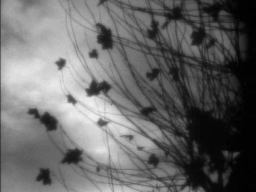 «Осенние туманы» / «Brumes d’automne», 1…