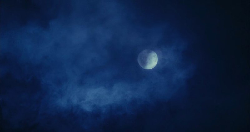 «Будущее – это женщина» / «Il futuro è d…