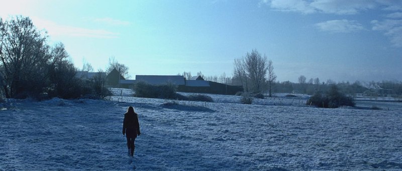 «Фландрия» / «Flandres», 2006Режиссер / …