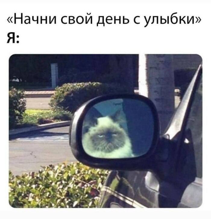 Доброе утречное…