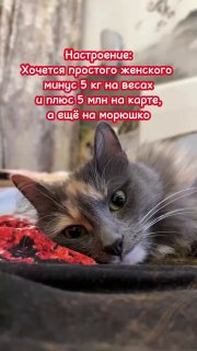 И шоколадку…