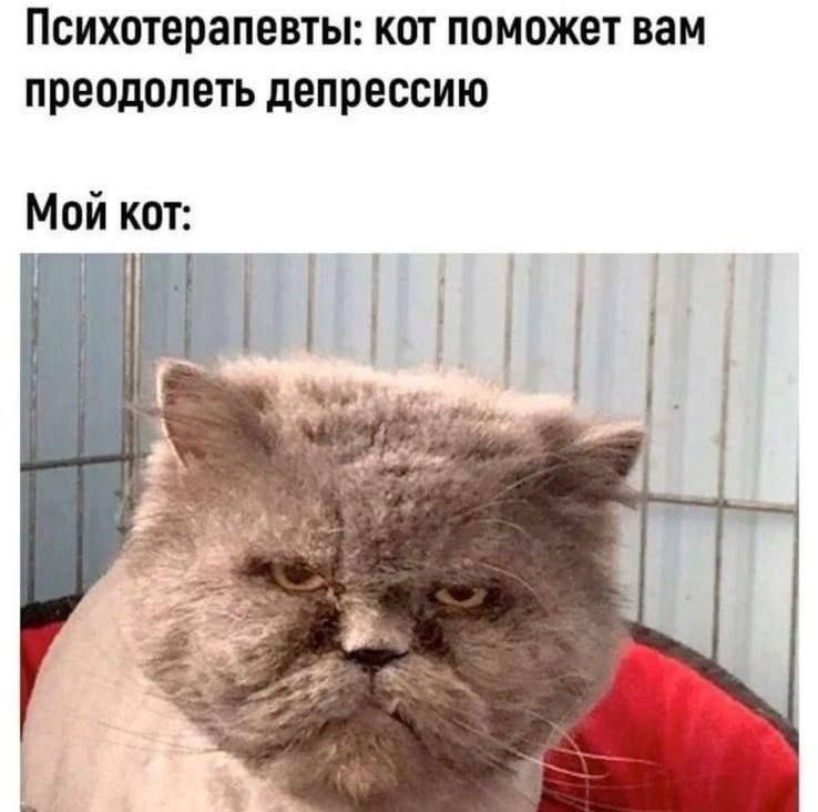 Вот не зря снимают аж целые сериалы про …