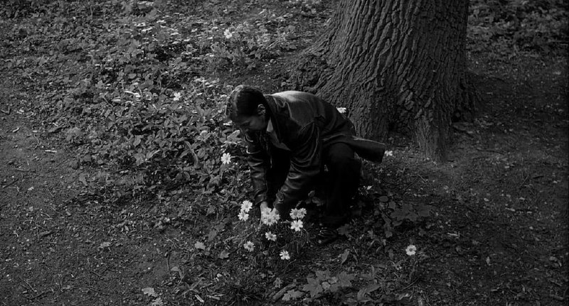 «Жизнь богемы» / «La vie de bohème», 199…