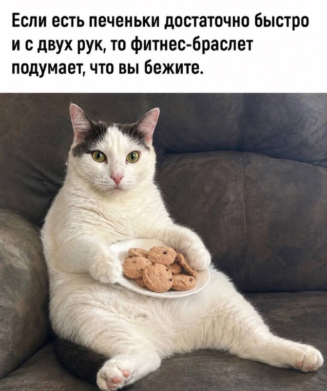 Закрыла норму по шагам не вставая с дивана…