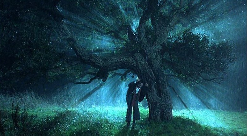 «Голос луны» / «La voce della luna», 198…
