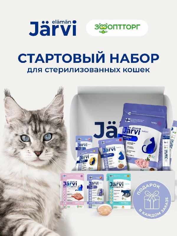 Кто для питомца ищет что-то новое из ко…