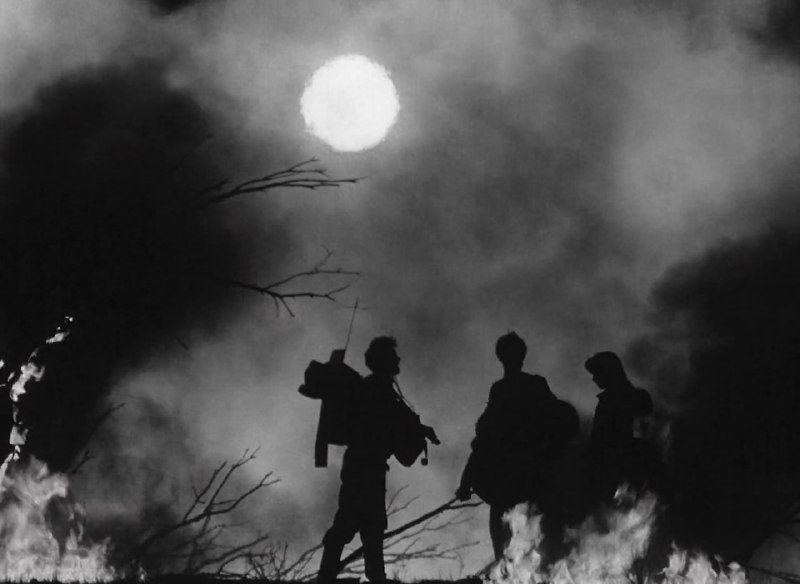 «Неотправленное письмо», 1959Режиссер / …